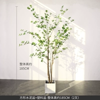 1,85 -метер -вилочный шифрование ++ квадратный цементный бассейн