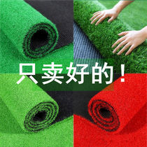 Simulation Lawn Carpet Artificial Fake Turf Wall Wall Sheltering Outdoor Nursery Plastic Green Mat Balcony decoration