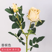 Цвет шампанского (купить 6 получите 6 получите 4 в общей сложности)