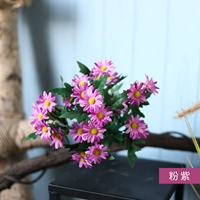 Фиолетовый цветочный луч