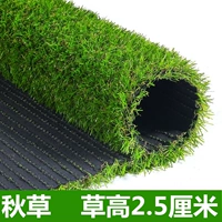 2,5 см Гао Цюкао [50 квадратных метров]