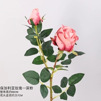 Глубокие порошковые отдельные ветви