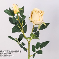 Шампанские отдельные филиалы