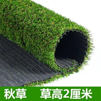 2 см высотой осенняя трава [50 квадратных метров]