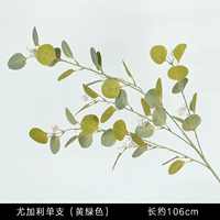 Желто-зеленый