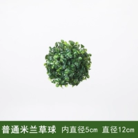 Обычный мяч Milan Grass 5 см