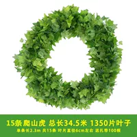 15 90 листьев лазания тигры [отправить пояс галстука]