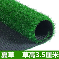 3,5 см. Маленькая трава Gao [50 квадратных метров]