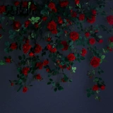 Моделирование розовая виноградная лоза Факовая цветочная виноградная лоза воздух -кондиционированные лестницы