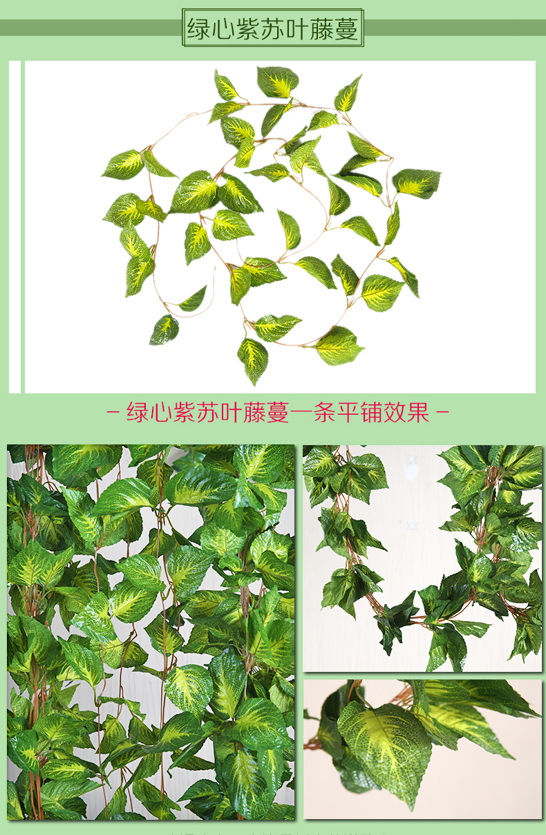 Mô phỏng mây hoa nho giả cây nho hoa lá nho lá xanh lá nước ống trần trang trí nhựa cây xanh - Hoa nhân tạo / Cây / Trái cây hoa giả để phòng khách