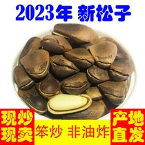 2023年特大颗粒新货东北野生松子散装500g一斤装开口原味手剥零食