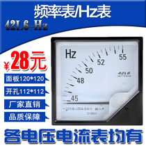 42L6-HZ pointer frequency 45-55 65HZ Hertz table 42C6 220V 380V customizable