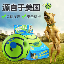 Giant little cute dogs blame the ball alone for relieving themselves from Hi-Hey puppies goldhound Large Dog Training Dog Network Red Vocal Toy