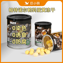 Giant Cute Pat Norquel Quail Egg Yellow Freeze-dried Growth Fatter Cat Popcorn Dog Eat Lecithin Pet Snacks