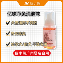 Giant Small Cute American Import 100 million Taste Net Dry Cleaning Free Foam Dog Body Lotion and Pregnant Dog Pregnant Dog Bath 236ml