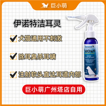 Giant small cute inot Pet ear mite ear drops special medicine cat dog treatment ear golden hair ear wash