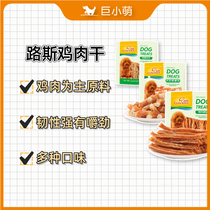 Giant small cute dog snacks Luce grinding teeth Tooth Bone Large Small Canine Teddy Training Rewards Pet Chicken Strips