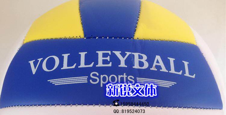 Ballon de volley-ball - Ref 2012839 Image 14