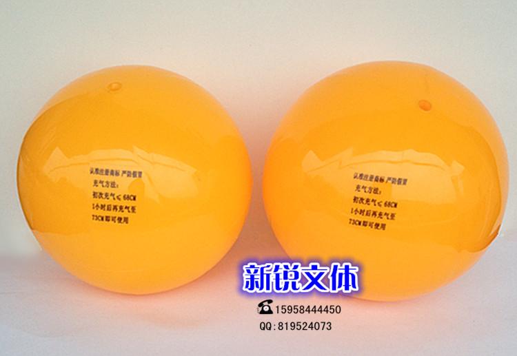 Ballon de volley - Ref 2016390 Image 7