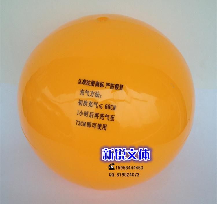 Ballon de volley - Ref 2016390 Image 12