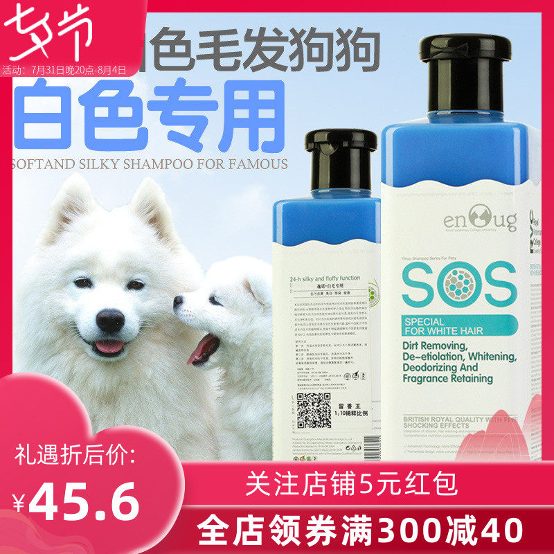 Dog body lotion with white hair special germicidal and deodorant no more than a bear sammoye pet dog bathing supplies sos incense