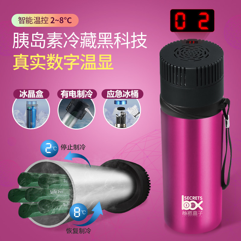 Insulin refrigeration case portable mini home for outdoor refrigeration onboard carry-on small fridge USB rechargeable