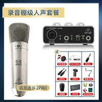 Человеческий пакет на уровне звукозаписи (B-2PRO)