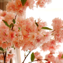 Qingqingism spring warm sun high simulation flowers cherry blossom branches pink living room dining room soft decoration home accessories