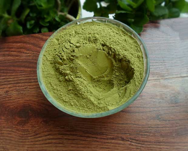 Bột mặt nạ trà xanh với lớp thực phẩm nguyên liệu làm bánh bột trà xanh - Mặt nạ kem làm trắng da mặt