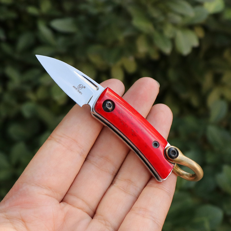 Sandvik 12C27 steel mini knife handmade lockless folding knife pendant key female carry-on cow bone folding knife