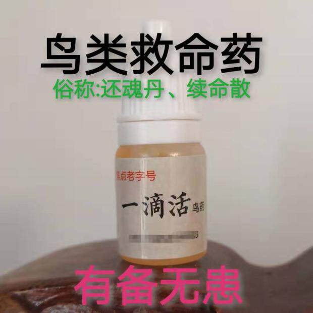 A drop of life-saving medicine Wen bird jade bird golden blue gray swallow bird parrot mynah bird first aid revive pill