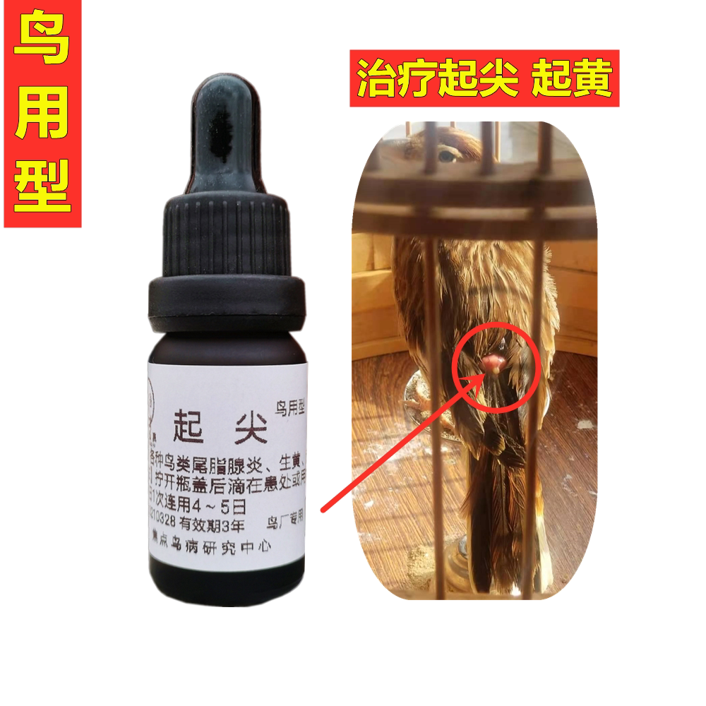 Bird type, thrush is pointed, lark is yellowed, treatment of soybean and bird's tail gland inflammation, indigo chin and tail tip swollen disease