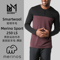 Smartwool Merino wool male Merino 250 outdoor sports warm wicking quick-drying long-sleeved underwear