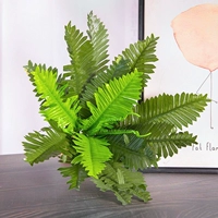 Желтые листья