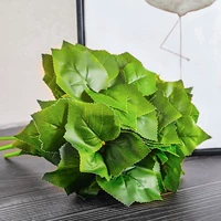 Лысый синий пять виноградных листов 1