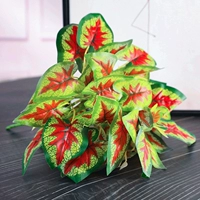 Розовая пента подкова красная 1