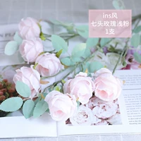 1 верблюдный цвет 7 легких порошковых роз 1