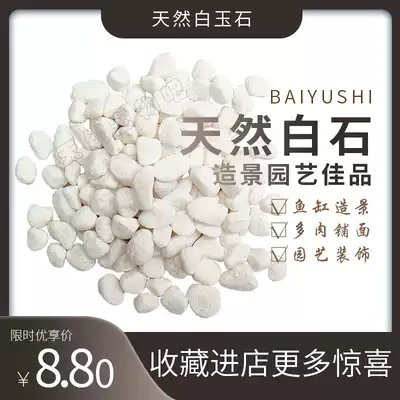 天然白玉石小白石头多肉铺面小石子鱼缸造景白石室外铺路园艺造景