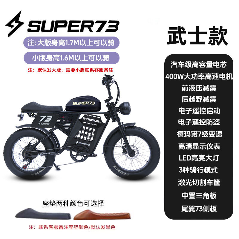 Phoenix National Standard Off-Road Variable Speed Mountain Bike Wide Tire Snow Super Motorcycle Power-Assisted Electric Bike 73