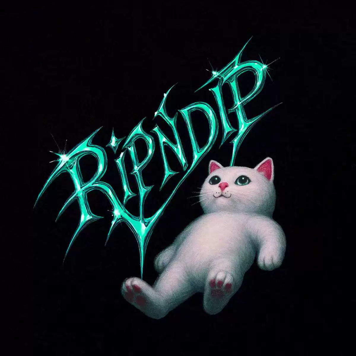 Футболка с принтом RIPNDIP «Bitch Cat Space Vision», короткие рукава, мужская и женская распечатанная верхняя одежда