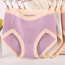2 pieces of dress briefs female pure cotton weight mm200 catty extra-size shorts high waist mid aged mother pants head