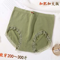 High Waist Large Yard Pants Women Triangle Pants Head Modale Cotton Quality Plus Fat Increase Code Fat mm200 Catfish Sexy Lace