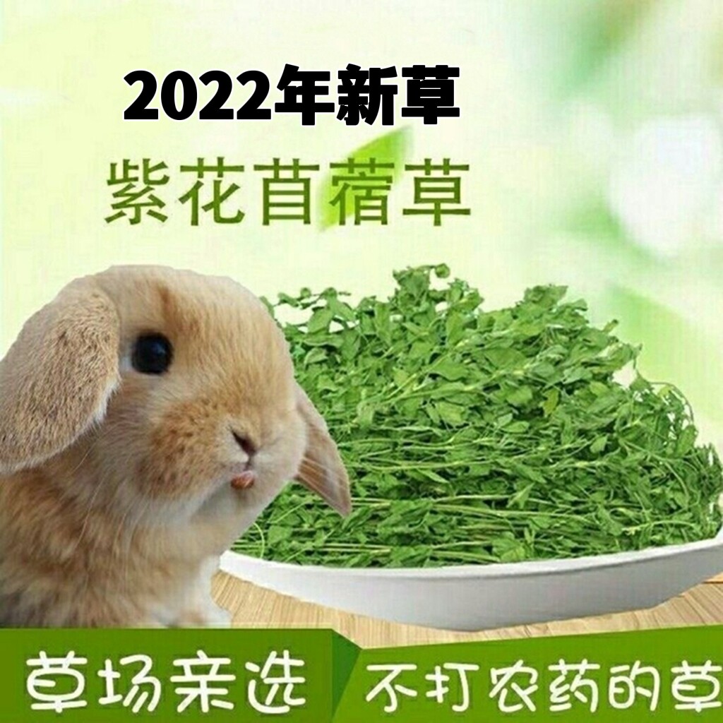 Purple Flower Clover Grass Rabbit Dry Grass Pet Rabbit Grain Dragon Cat Dutch Pig Guinea Pigs Nutrition Pasture Staple Food National