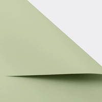 Серо-зеленый