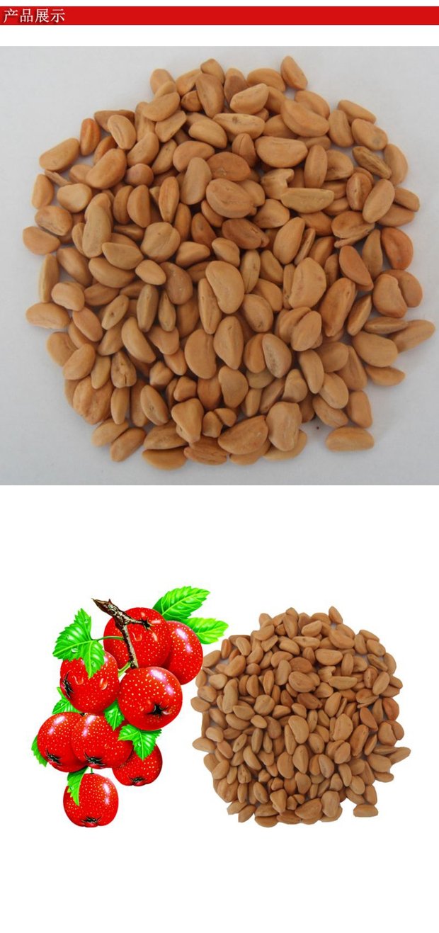 hạt Hawthorn Hawthorn với số lượng lớn táo gai tiểu hạt giống Shan Lihong mới hạt nhân Shan Lihong con gối phụ 6 pound vận chuyển - Gối gối hơi