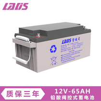 Landis UPS power supply lead-acid maintenance-free battery 12V 65AH UPS uninterruptible power supply