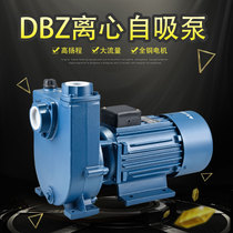 DBZ direct-connected self-priming pump household self-priming clean water pump high lift large flow agricultural water pump self-priming centrifugal pump