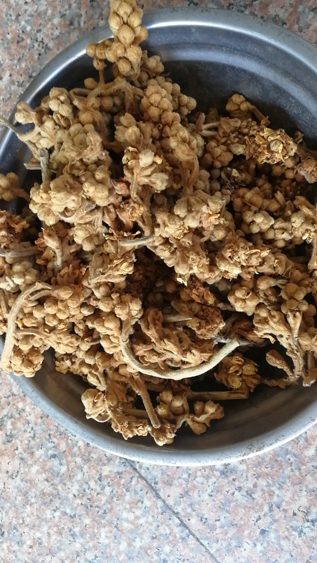 Loquat flower pipa flower Chinese herbal medicinal herbs native winter flowers 8 yuan 500 gr buy 2 catties