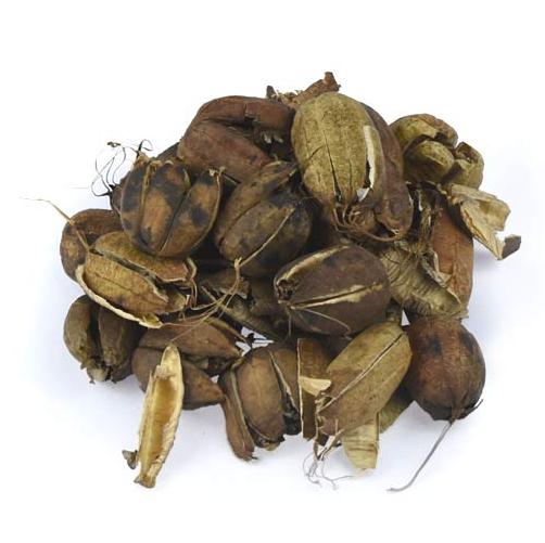 Horse pocket bell 5 catty water horse fragrant fruit hyacinth jar 500g grams of primary agricultural product