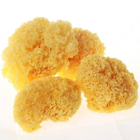 White fungus 2 catties Tremella fungus fragments Chinese herbal medicine supply 500 grams 35 yuan